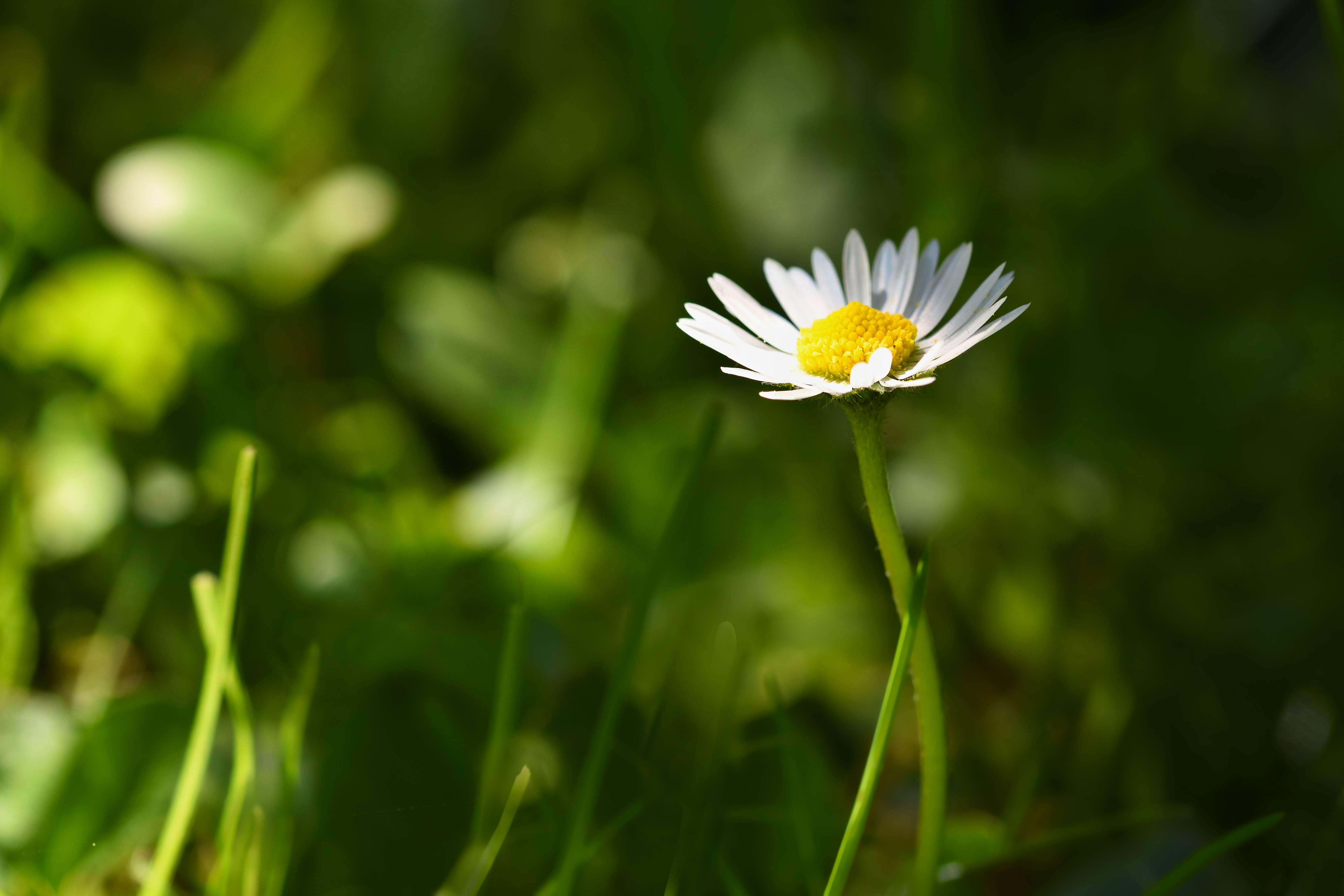 Der Frühling naht!